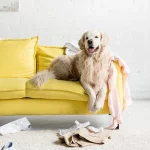 Lotterbude - Sofa