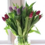 Tulpen in Vase fruehjahrsputz tipps